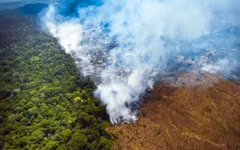 Imagem ilustrativa da notícia Desmatamento na Amazônia completa 13 meses seguidos de crescimento