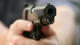 Imagem ilustrativa da notícia Venda de armas de fogo chega a quase 74 mil unidades no 1º semestre