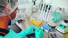 Estudo com a participação do Instituto Evandro Chagas envolve amostras de pacientes de todas as regiões do País. Identificação das cepas é fundamental para desenvolvimento eficiente de vacinas contra o vírus