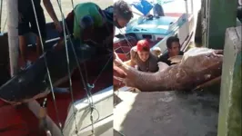 Imagem ilustrativa da notícia Vídeo: pescadores capturam peixe gigante na baía do Marajó. Assista!