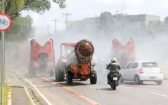 Ver-o-Peso, Jurunas, Cremação, Porto da Palha, Guamá e São Brás são as primeiras feiras a serem desinfectadas