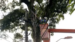 Interdição será feita na avenida Generalíssimo Deodoro, entre Diogo Móia e Antônio Barreto, no bairro Umarizal, em Belém.