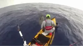 Imagem ilustrativa da notícia Pescador quase é atacado por tubarão em caiaque. Veja o vídeo!