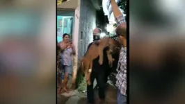 Imagem ilustrativa da notícia Onça aparece em árvore no canteiro da Duque de Caxias; veja o vídeo