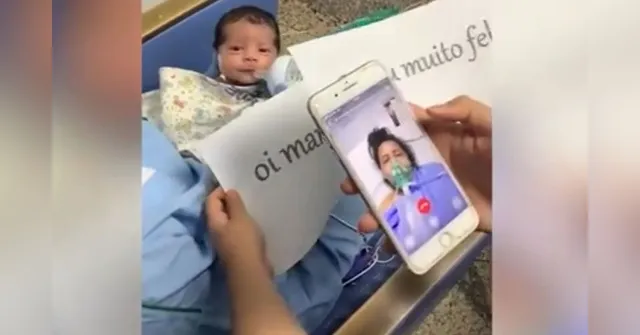 Imagem ilustrativa da notícia Paraense infectada pela covid-19 conhece filho recém-nascido por celular