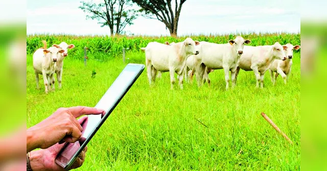 Imagem ilustrativa da notícia A agricultura digital veio
para ficar