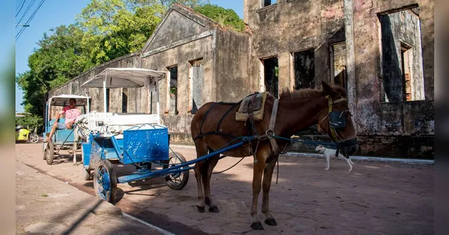 Imagem ilustrativa da notícia Final de semana mantém reforço de transporte para os
balneários da capital