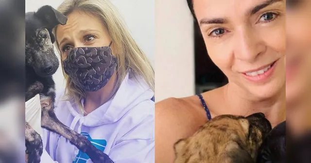 Imagem ilustrativa da notícia Luisa Mell detona Cláudia Ohana após abandono de animais