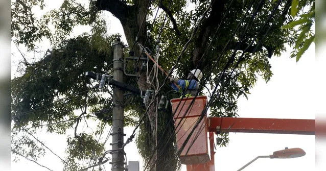Imagem ilustrativa da notícia Serviço de poda interdita avenida e suspende energia elétrica no Umarizal