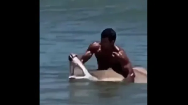 Imagem ilustrativa da notícia Homem domina tubarão com as próprias mãos em praia