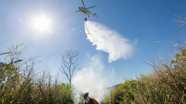 Imagem ilustrativa da notícia Treinamento prepara equipe para o combate à incêndios em floresta do Pará