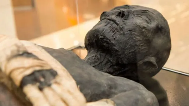 Imagem ilustrativa da notícia Cientistas descobrem que múmias egípcias não são humanas