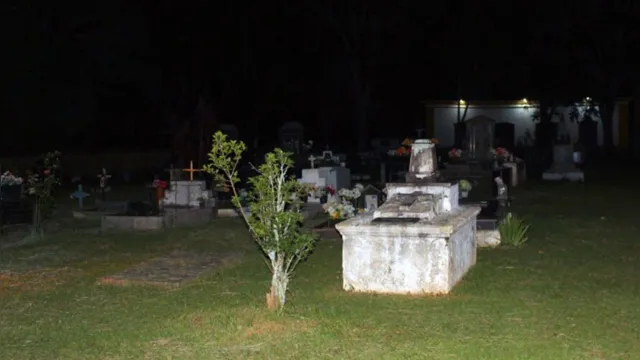 Imagem ilustrativa da notícia Homem é encontrado vivo em cemitério após 4 meses dado como morto