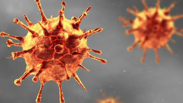 Imagem ilustrativa da notícia Mutação: novo coronavírus se comporta como DST