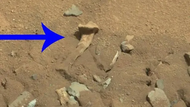 Imagem ilustrativa da notícia NASA se pronuncia sobre "osso humano" encontrado em Marte