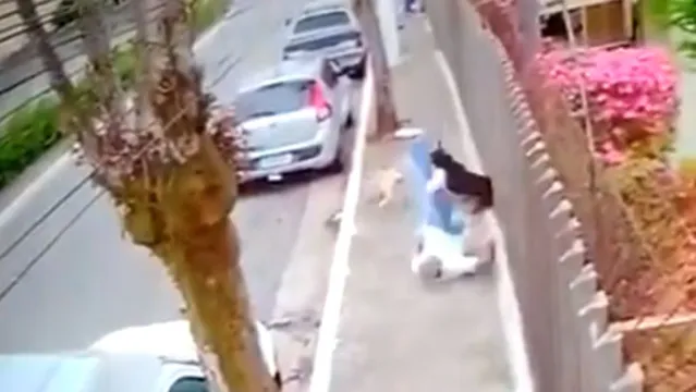 Imagem ilustrativa da notícia Homem morre após ser atropelado por cachorros; veja o vídeo