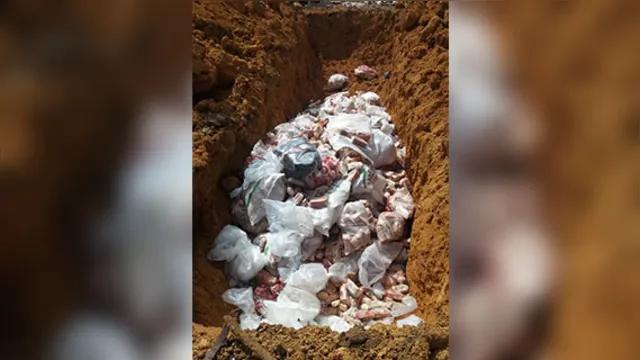 Imagem ilustrativa da notícia MP descobre "lixão de carnes" de merenda escolar em Ipixuna do Pará