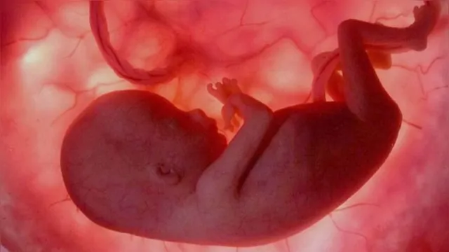 Imagem ilustrativa da notícia Uso de fetos de bebês abortados na vacina contra o coronavírus gera polêmica