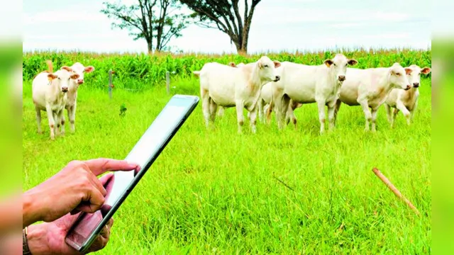 Imagem ilustrativa da notícia A agricultura digital veio
para ficar