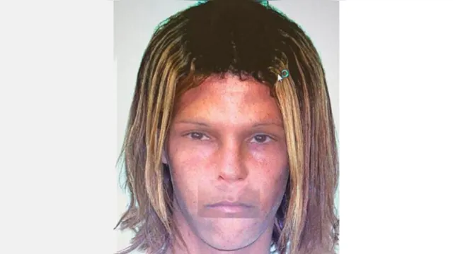 Imagem ilustrativa da notícia Polícia
Civil divulga retrato falado de suposta sequestradora de recém-nascido