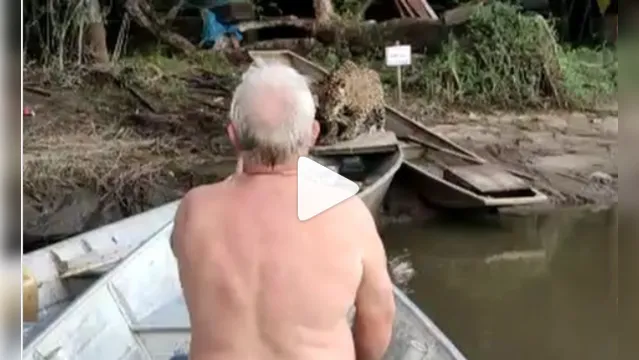 Imagem ilustrativa da notícia Onça invade canoa e fica frente a frente com pescadores; veja o vídeo