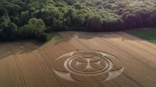 Imagem ilustrativa da notícia Símbolo misterioso é encontrado em plantação na França 