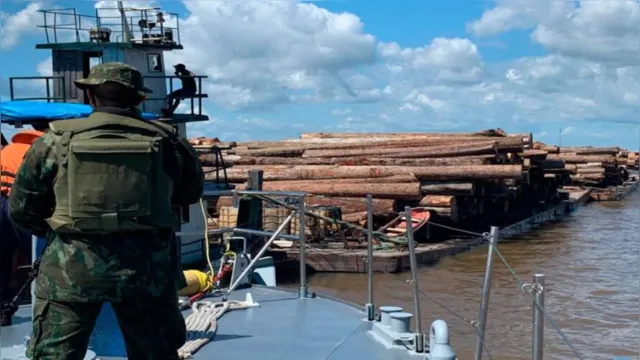 Imagem ilustrativa da notícia Marinha apreende mil toras de madeira sem nota fiscal no Pará