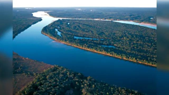 Imagem ilustrativa da notícia  Parte do Pará e Mato Grosso, Bacia do Xingu lidera desmatamento