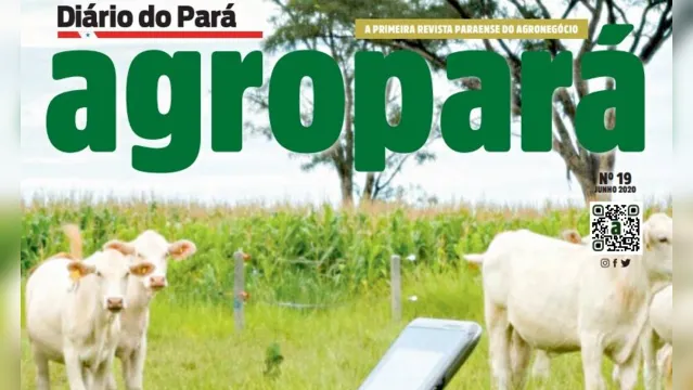 Imagem ilustrativa da notícia Revista Agropará deste domingo traz as novidades do setor