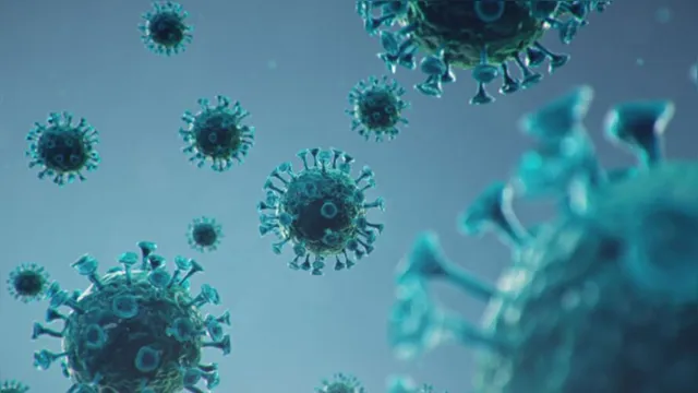 Imagem ilustrativa da notícia Coronavírus se "disfarça" para evitar reação do sistema imunológico