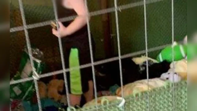 Imagem ilustrativa da notícia Criança é mantida em jaula com cobras, galinhas e cães