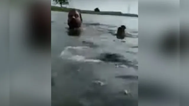 Imagem ilustrativa da notícia Imagens fortes! Vídeo mostra crocodilo capturando homem