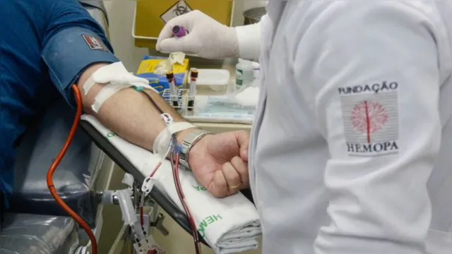 Imagem ilustrativa da notícia Hemopa já coletou o plasma de 40 voluntários para tratamento da Covid-19