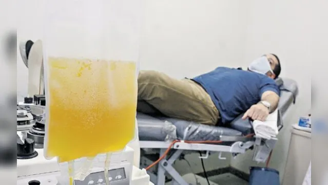 Imagem ilustrativa da notícia Hemopa busca doações de plasma de pacientes recuperados para combater covid-19