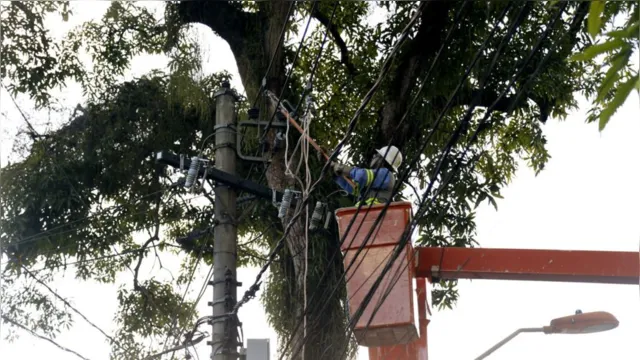 Imagem ilustrativa da notícia Serviço de poda interdita avenida e suspende energia elétrica no Umarizal