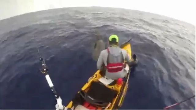 Imagem ilustrativa da notícia Pescador quase é atacado por tubarão em caiaque. Veja o vídeo!
