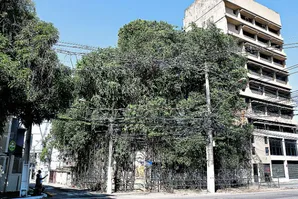 Imagem ilustrativa da notícia Abandono: pontos de Belém com imóveis em situação precária