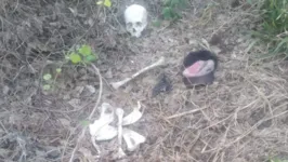 Crânio estava entre os ossos encontrados.