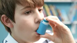 A asma é responsável pela 4ª causa de internação no Brasil e pela morte de cerca de duas mil pessoas por ano.