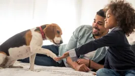 Pessoas alérgicas podem conviver com pets, mas precisam tomar certos cuidados. 