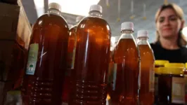 O Pará já tem uma produção diária de três mil quilos de mel.