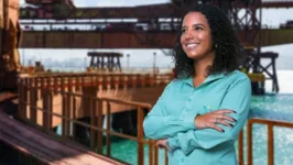 Os candidatos não precisam ter experiência prévia e podem ter se formado em qualquer instituição de ensino superior reconhecida pelo Ministério da Educação. 