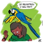 Imagem ilustrativa da notícia Arara Pix