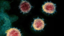 Imagem ilustrativa da notícia Estudo brasileiro mostra que Covid-19 usa estratégia similar ao HIV