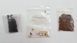 Foram encontrados fungos, bactérias e possíveis pragas quarentenáveis nos materiais