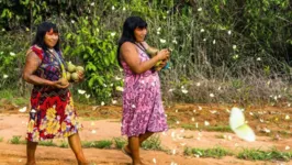 Imagem ilustrativa da notícia MPF pede consulta aos indígenas Warao sobre abrigos