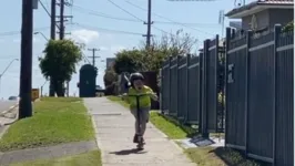 Imagem ilustrativa da notícia Ave 'enfezada' persegue menino que sai aos berros pela rua; veja o vídeo!
