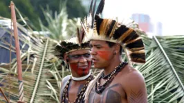 Imagem ilustrativa da notícia Juiz emite ordem de despejo contra índios pataxós