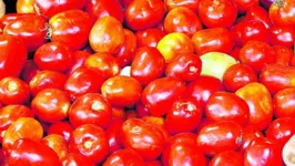 Tomate teve alta de preços de 22,34%, diz estudo sobre inflação

