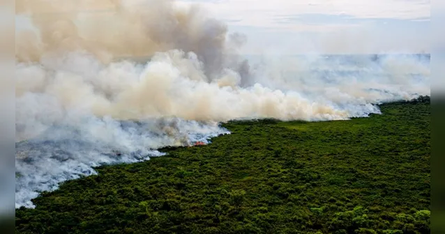 Imagem ilustrativa da notícia Perícia afirma que incêndio que destrói Pantanal foi intencional